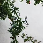Hotel Usta X Cirak Butik Izmir