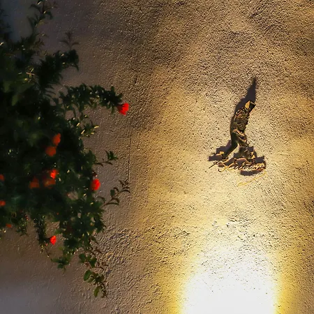 Usta X Cirak Butik Hotel