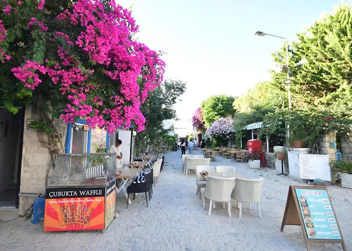 Usta X çırak Butik *