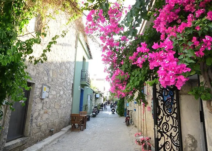 Usta X çırak Butik