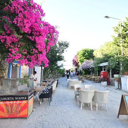 Usta X Cirak Butik *